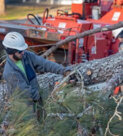 Milam’s Tree Service