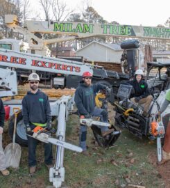 Milam’s Tree Service